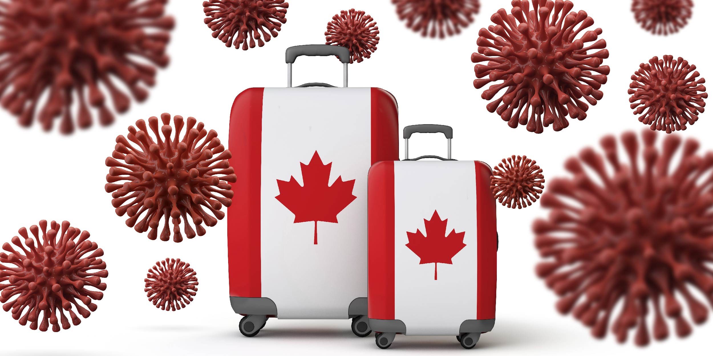 Top Immigration Consultants In Canada
